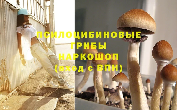 тгк Навашино