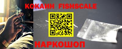 jwh Гусев