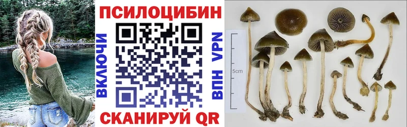 Псилоцибиновые грибы ЛСД  OMG ССЫЛКА  Камышин 