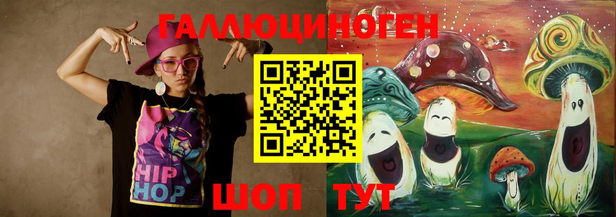 Псилоцибиновые грибы Psilocybine cubensis  Камышин 