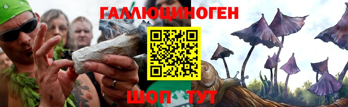 Псилоцибиновые грибы MAGIC MUSHROOMS Камышин